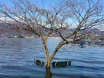Baveno-Stresa