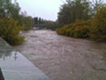 Fiume Agogna