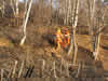 Armeno 17-03-07