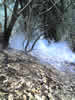 Armeno 17-03-07