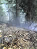 Armeno 17-03-07