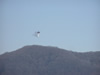 Incendio al Monte Barro